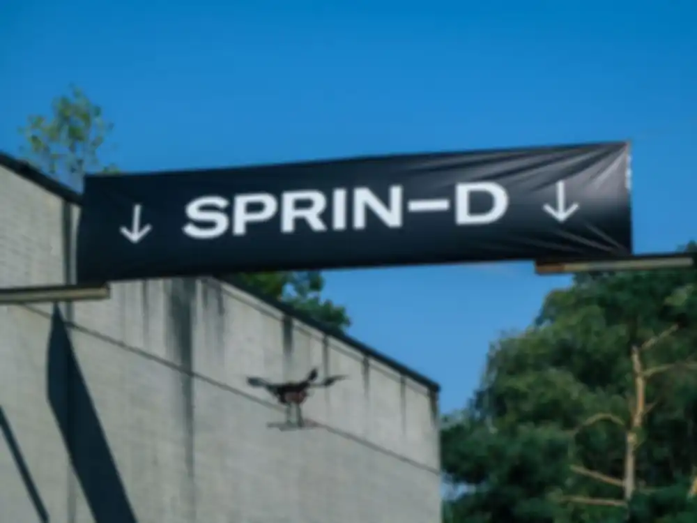 Sprind Image