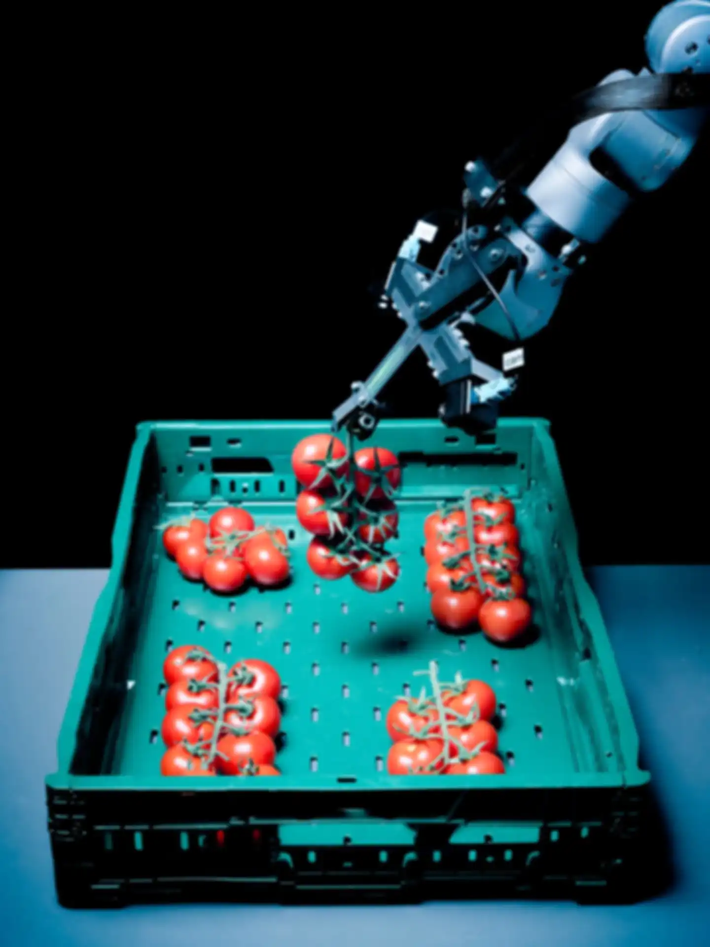 Der Polybot-Prototyp in Aktion