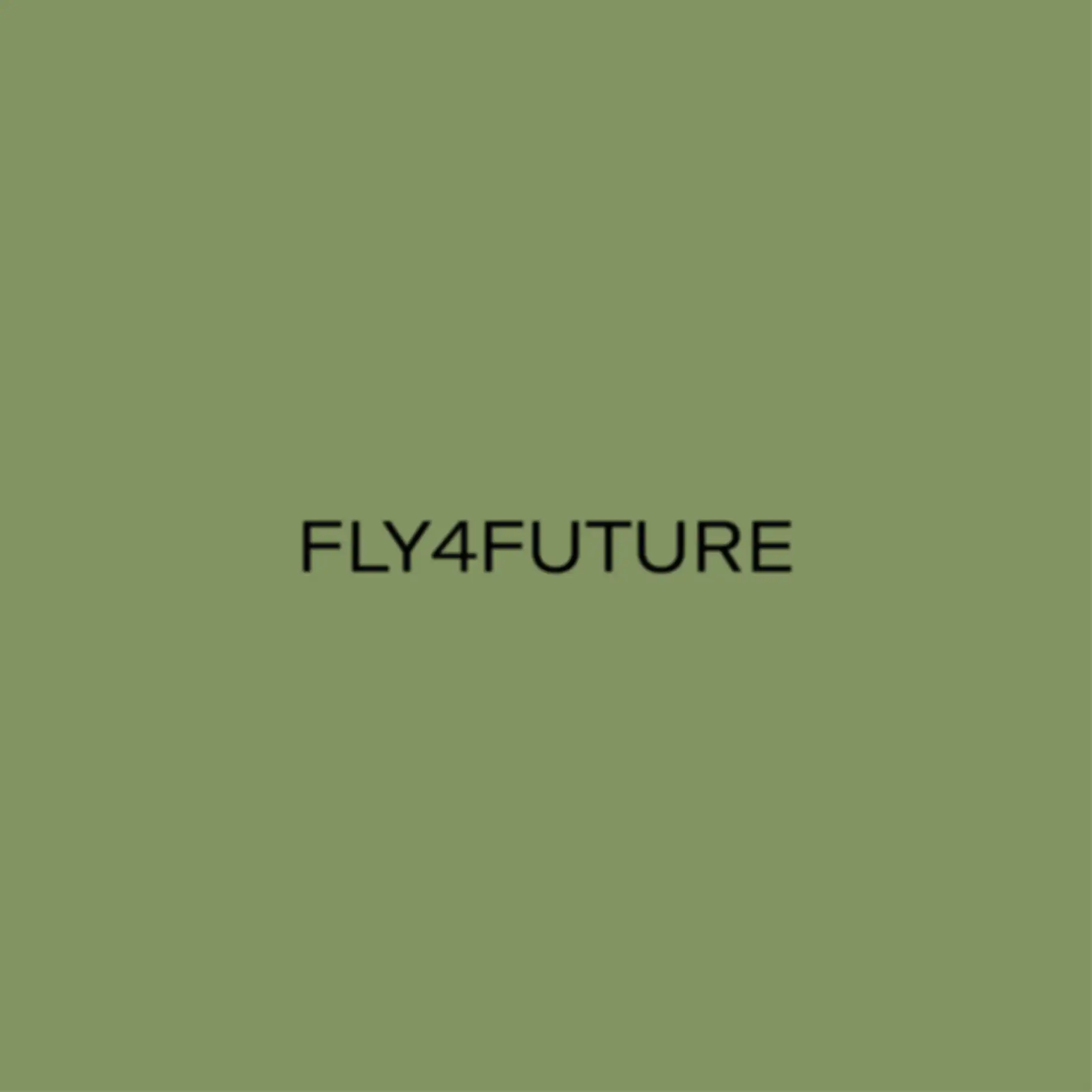 Fly4Future